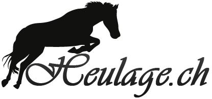 Logo heulage.ch